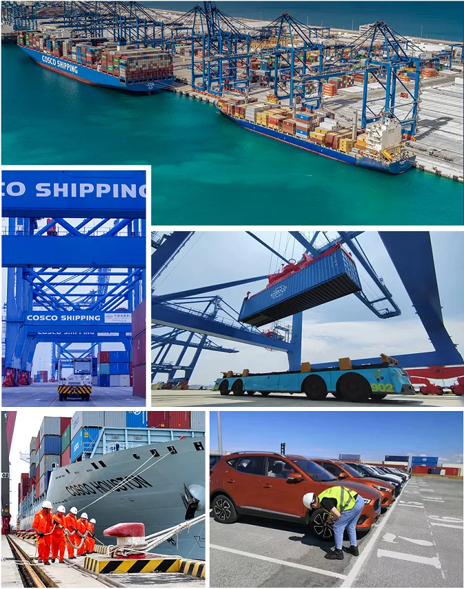 Shipping Mini Excavators from China to Houston Successful Shipping Mini Excavators from China to Houston