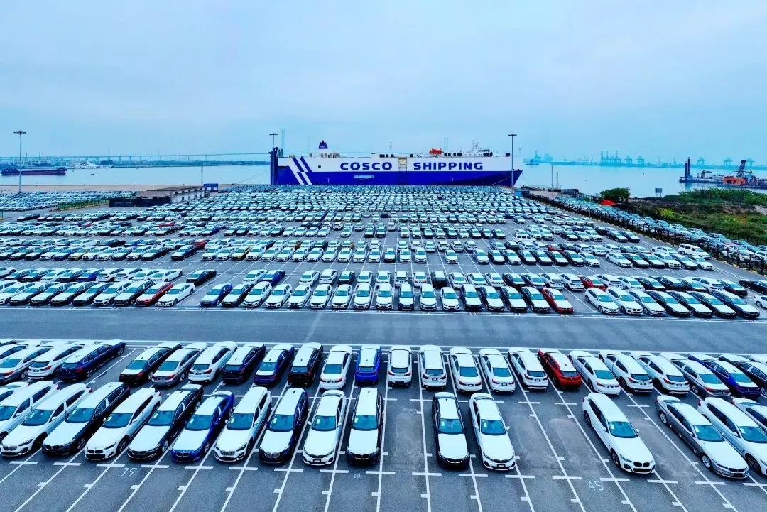 Successful Shipping Mini Excavators from China to Houston