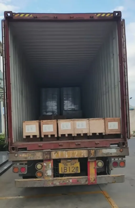 Loading picture for Laser Hair Removal Machines shipping case with Welltrans